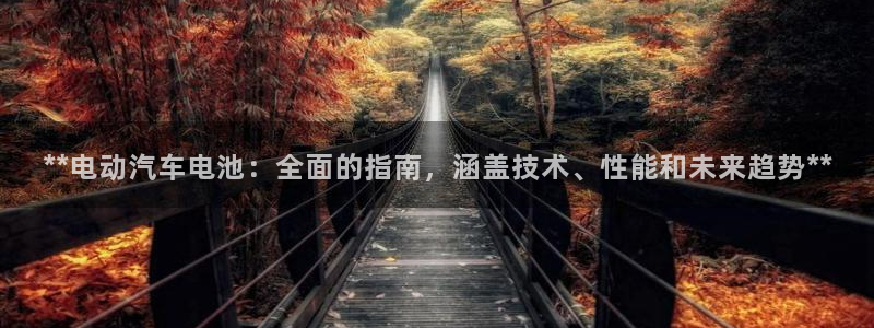 优发国际手机客户端下载安卓