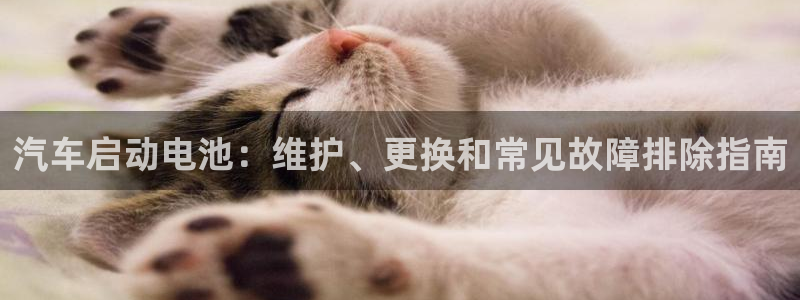优发国际app官网下载安装苹果手机