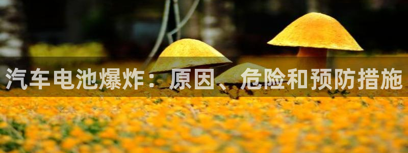 优发国际手机客户端下载安装手机版