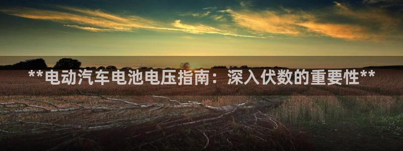 优发国际是合法的吗
