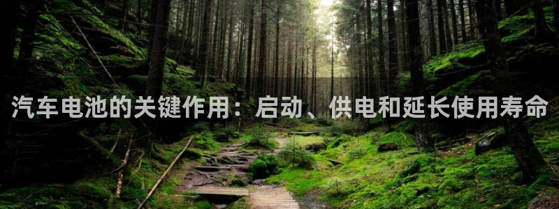 优发国际集团股份有限公司