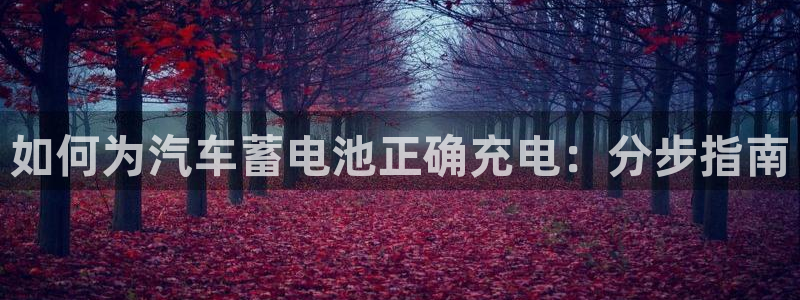 优发国际娱乐官网多少?