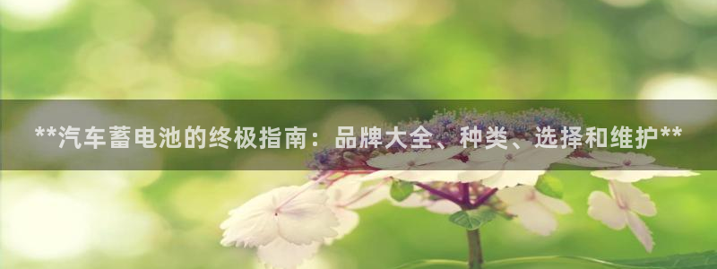 优发国际vip网址