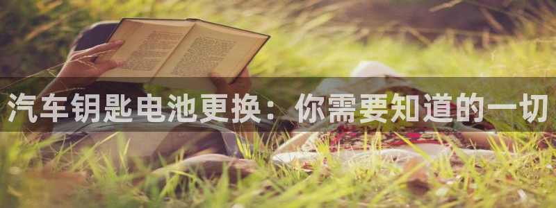 优发国际平台u8是什么公司