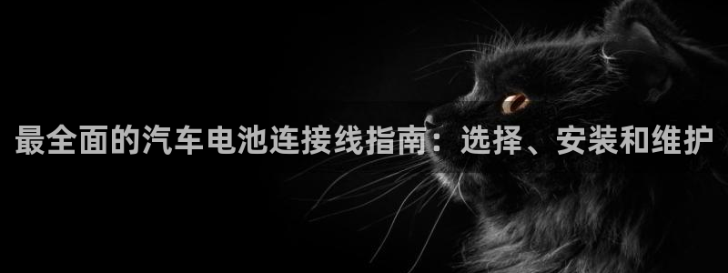 优发国际平台g8