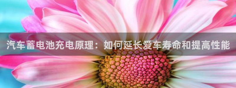 优发国际手机app下载地址