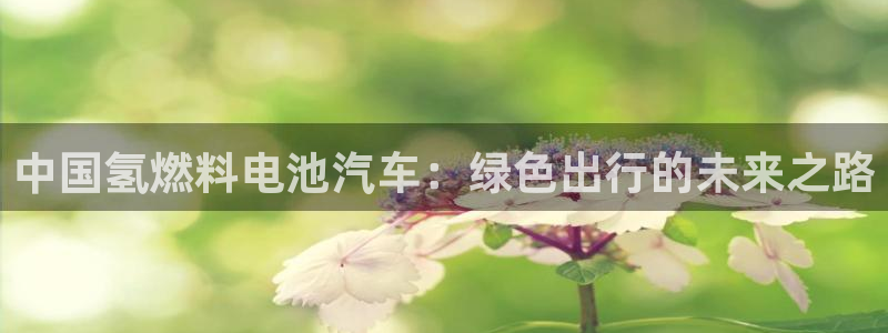 优发国际是大平台吗还是小平