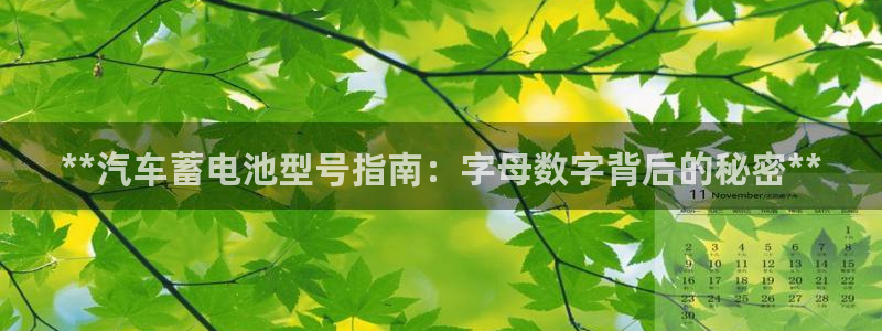 优发国际软件下载官网