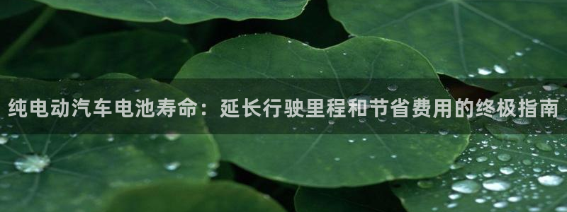 优发国际平台手机版下载安装