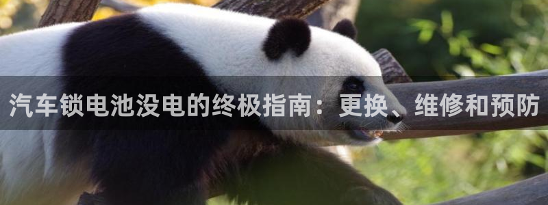 优发国际youfa966
