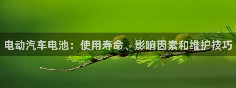 优发国际平台u8怎么样
