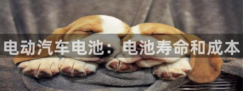 优发国际手机版客户端官网