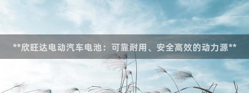 优发国际平台app下载官网：**欣旺达电动汽车电池：可靠耐用、安全高效的动力源**