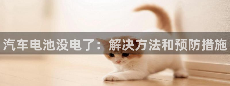 优发国际客服联系方式是什么