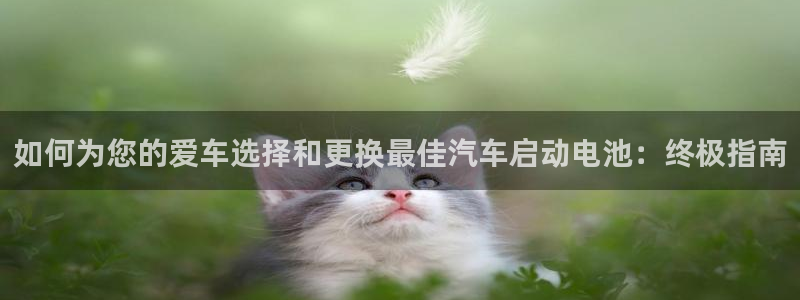优发国际官网首页入口