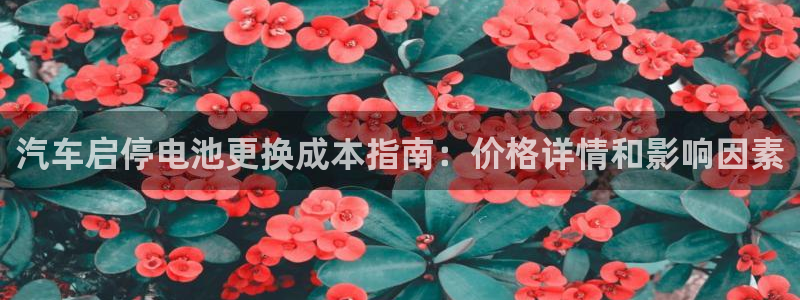 优发国际这个平台怎么样可靠吗