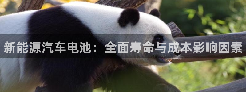 优发国际注册平台怎么样