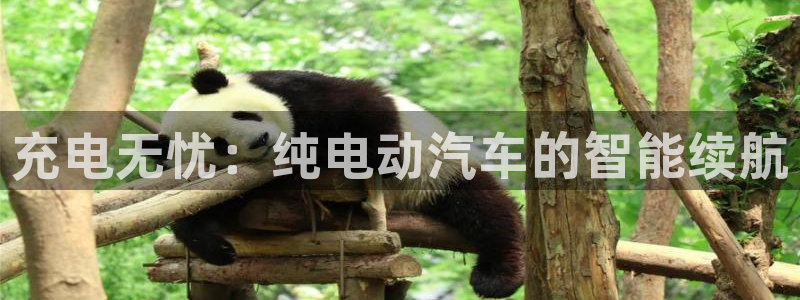优发国际手机版