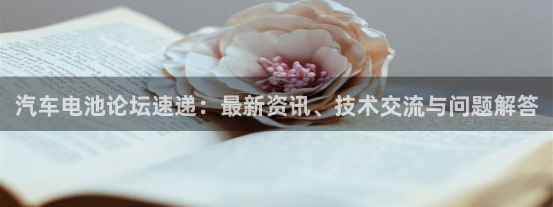 优发国际官网网站登录：汽车电池论坛速递：最新资讯、技术交流与问题解答