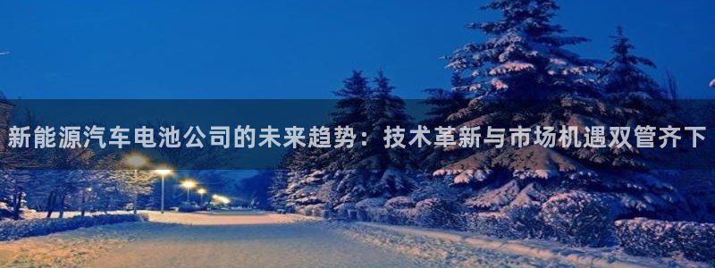 优发国际手机版下载官网：新能源汽车电池公司的未来趋势：技术革新与市场机遇双管齐下