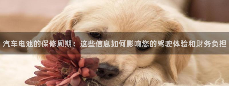 优发国际手机版官网入口：汽车电池的保修周期：这些信息如何影响您的驾驶体验和财务负担