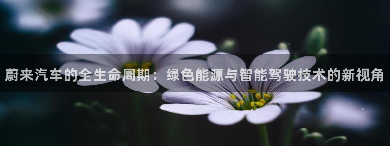 优发国际集团股份有限公司官网