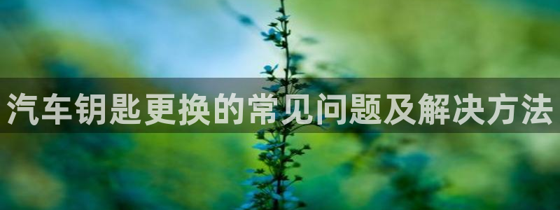 优发国际免费游戏下载