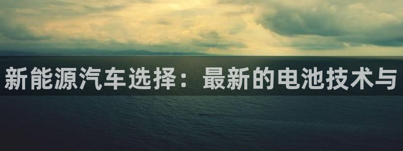 优发国际集团股份有限公司招聘：新能源汽车选择：最新的电池技术与
