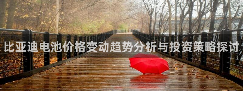 优发国际平台g80：比亚迪电池价格变动趋势分析与投资策略探讨