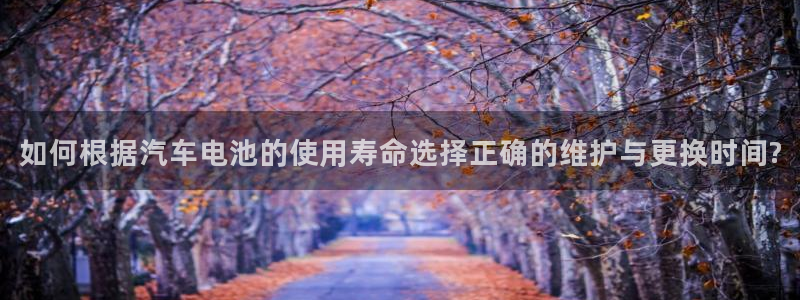 优发国际是真的吗
