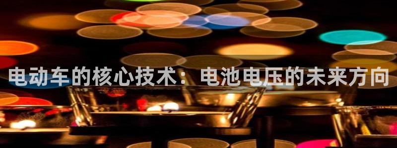 优发国际是大平台吗：电动车的核心技术：电池电压的未来方向