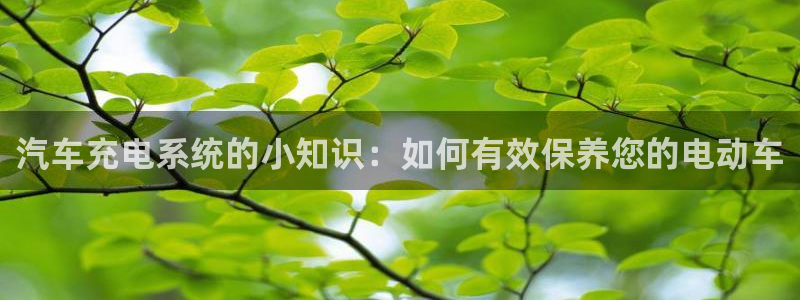 优发国际官方网平台