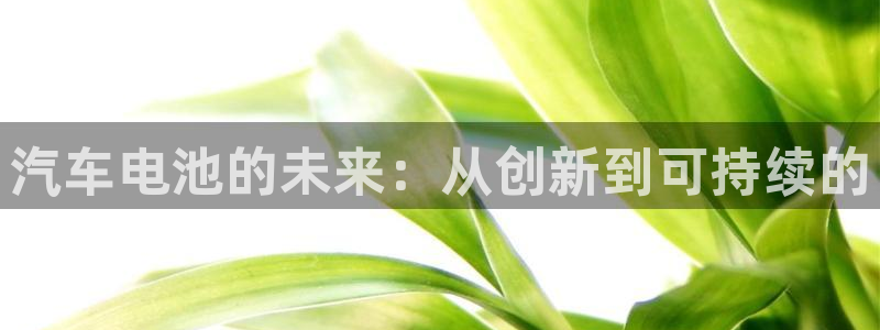 优发国际手机版网站下载：汽车电池的未来：从创新到可持续的