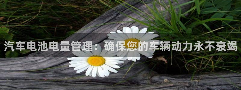 优发娱乐国际线上营业时间：汽车电池电量管理：确保您的车辆动力永不衰竭