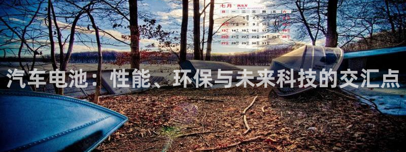 优发国际安卓版下载安装苹果：汽车电池：性
