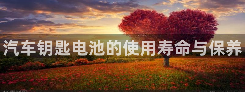 优发国际客服联系方式：汽车钥匙电池的使用