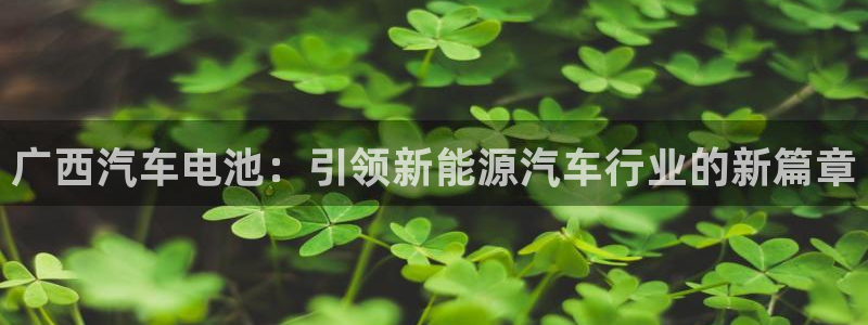 优发国际官方网平台登录：广西汽车电池：引