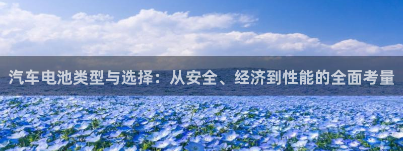 优发国际官网首页：汽车电池类型与选择：从安全、经济到性能的全面考量