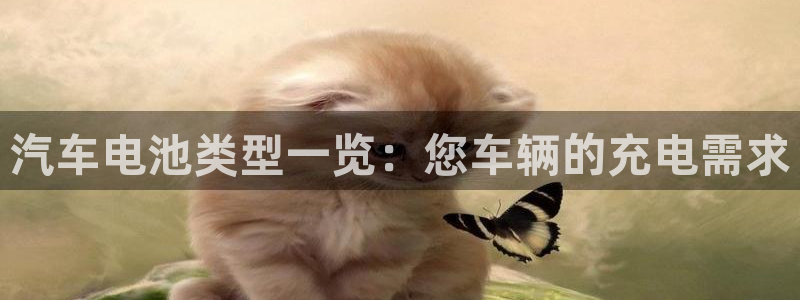 优发国际手机版唯一官网