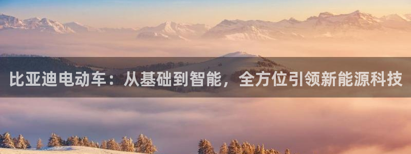 优发国际vip网址：比亚迪电动车：从基础到智能，全方位引领新能源科技