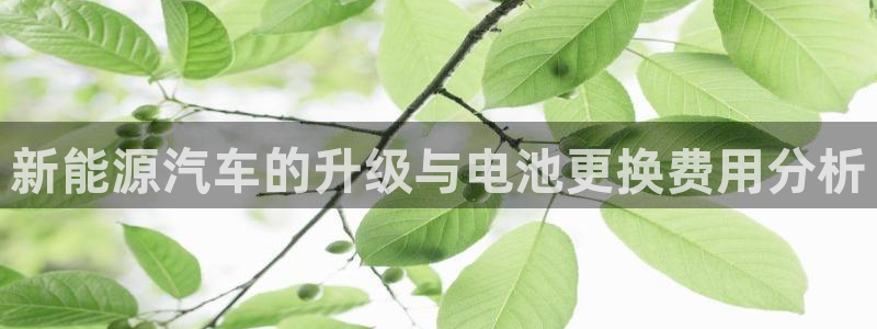优发国际线上娱官网