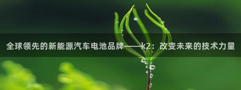 优发国际官方网：全球领先的新能源汽车电池品牌——k2：改变未来的技术力量