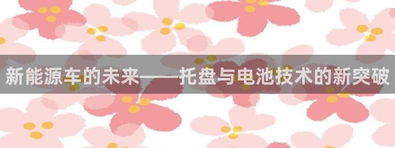 优发国际官网值是多少：新能源车的未来——托盘与电池技术的新突破