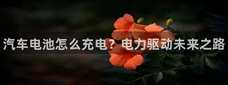 优发国际是大平台吗还是小平：汽车电池怎么充电？电力驱动未来之路