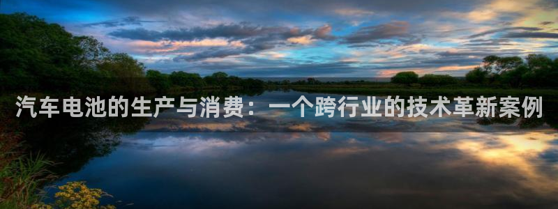 优发国际安卓版下载安装苹果：汽车电池的生产与消费：一个跨行业的技术革新案例