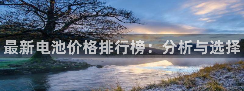 优发国际下载安装app：最新电池价格排行榜：分析与选择