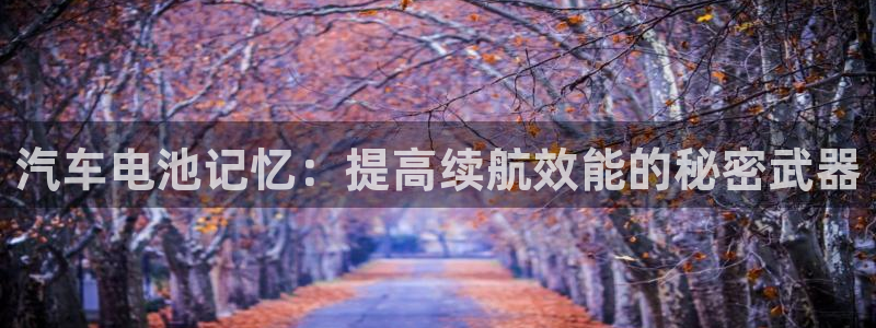 优发国际平台18：汽车电池记忆：提高续航效能的秘密武器