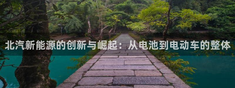 优发国际手机版客户端官网：北汽新能源的创新与崛起：从电池到电动车的整体
