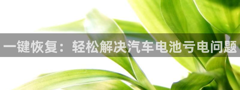 优发国际手机版客户端：一键恢复：轻松解决汽车电池亏电问题