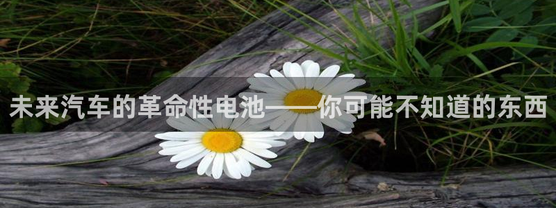 优发国际手机版官网下载：未来汽车的革命性电池——你可能不知道的东西
